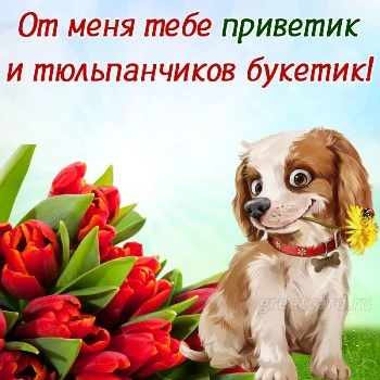 Картинка приветик и тюльпанчиков букетик