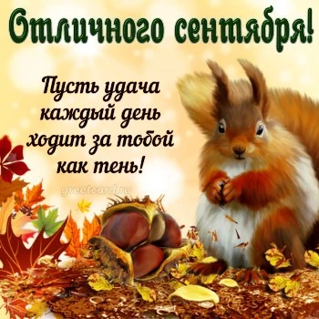 Отличного сентября - открытка с белкой