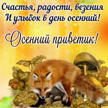 Картинка осенний привет