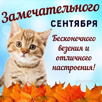 Осенняя открытка на сентябрь