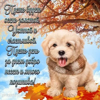 Замечательная открытка с осенью