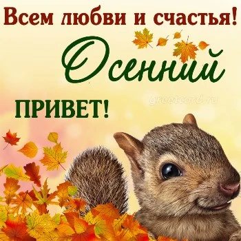 Открытка с осенним приветом
