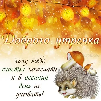 Утренняя открытка на осень с ежиком
