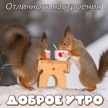 Открытки доброго зимнего утра