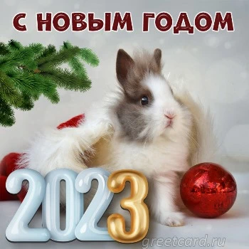 С новым годом 2023 открытка с кроликом