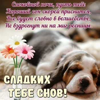 Картинка спокойной ночи с цветами- Скачать бесплатно на sauna-chelyabinsk.ru