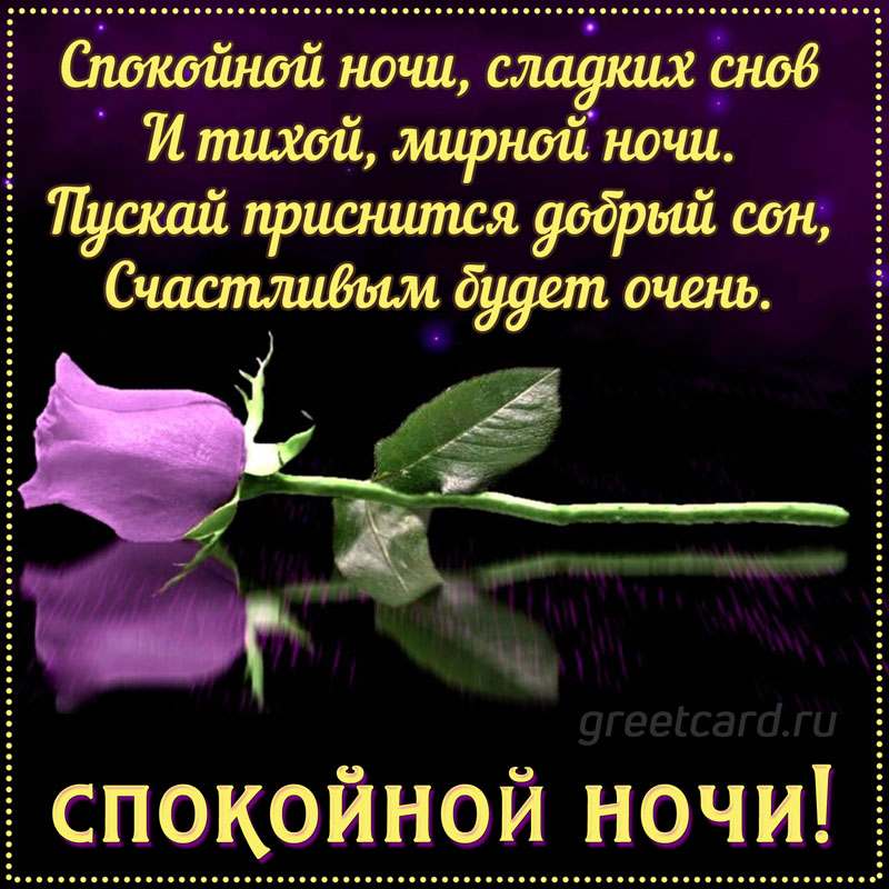 Букет цветов «Романтический сон» 💐 купить по цене 8 ₽ с доставкой в Москве