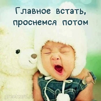 Смешная открытка поздравление с добрым утром