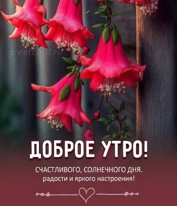 С добрым утром картинка с красными цветами