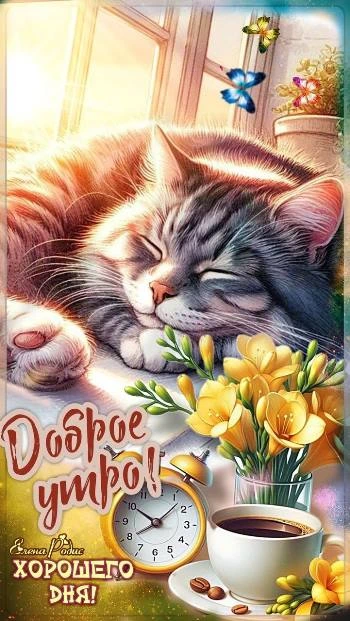 Доброе осеннее утро с котиком