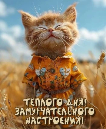 Замурчательного осеннего настроения