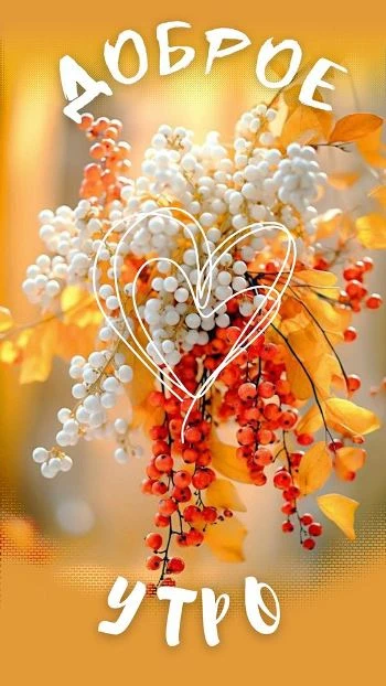 Утренняя открытка с ягодками