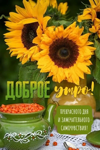 Заряженная позитивом осенняя картинка на утро