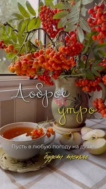 Доброе утро осенняя открытка с рябиной