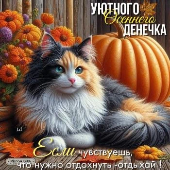 Уютного осеннего утречка