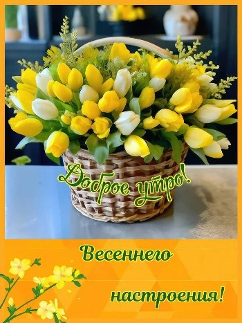 Доброе весеннее утро с пожеланиями