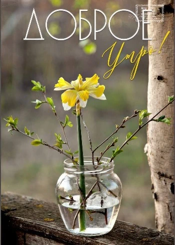 Весенняя открытка с цветами в лесу