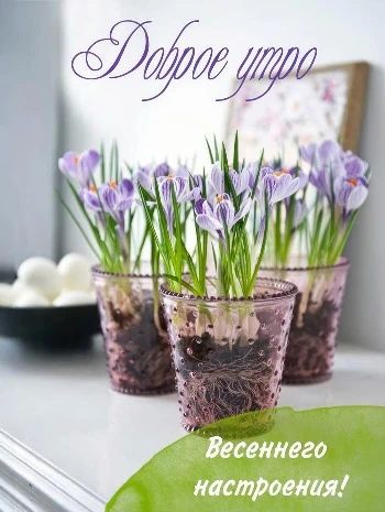 Открытка с пожеланием хорошего весеннего настроения