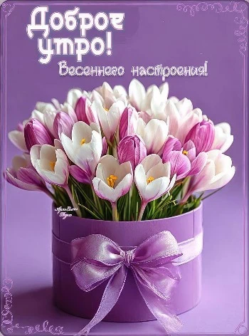 Пожелание весеннего настроения