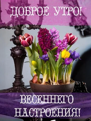 Пожелание весеннего настроения