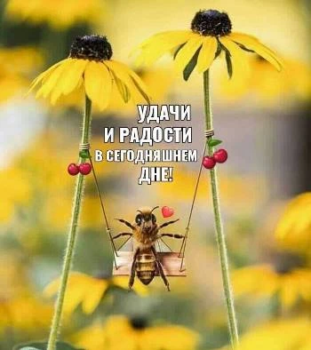 Пчела качается на качелях