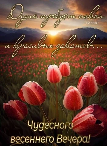 Чудесная открытка с пожеланием весеннего вечера