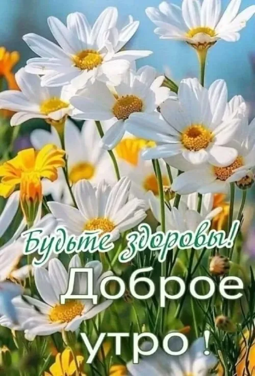 Здоровье и весенние цветы: открытка с добрым утром