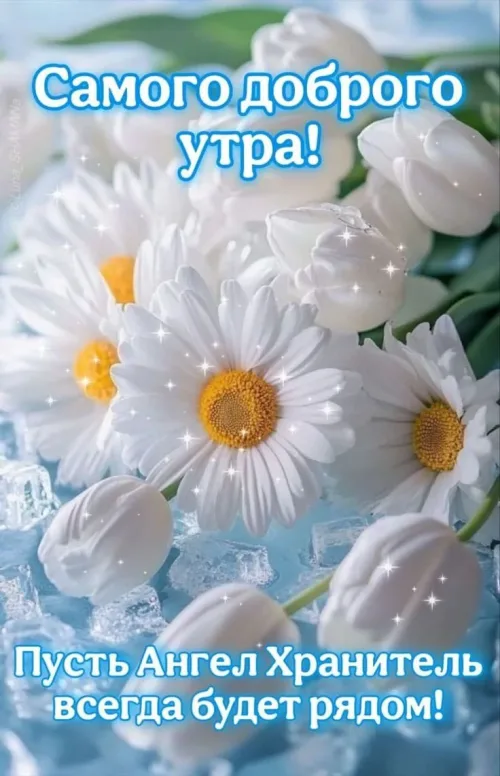 Позитивная открытка с добрым утром и цветами