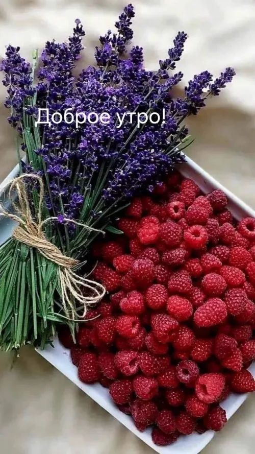 Позитивная открытка с добрым утром и цветами
