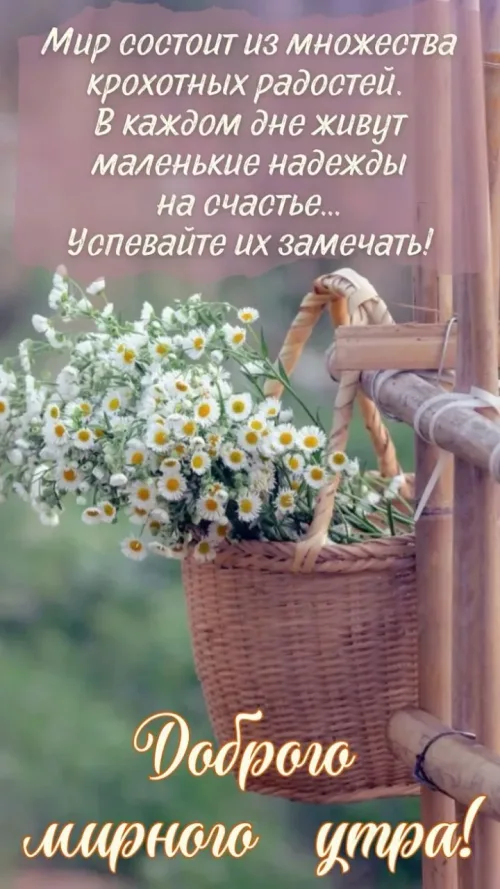 Позитивная открытка с добрым утром и цветами