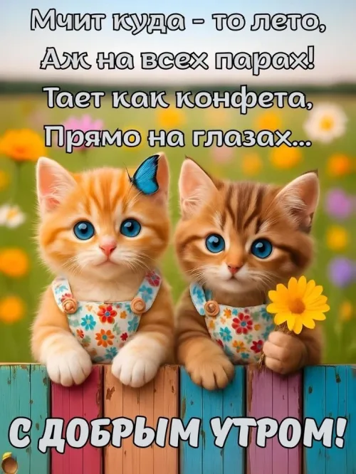 Доброе утро с котятами и цветами