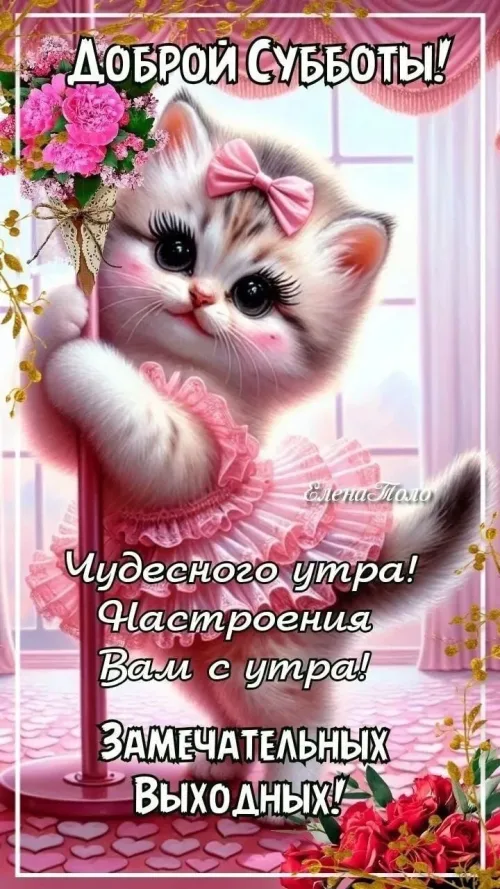 Котенок в розовом платье с добрым утром