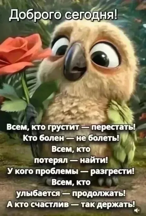 Позитивная открытка с добрым утром и совой