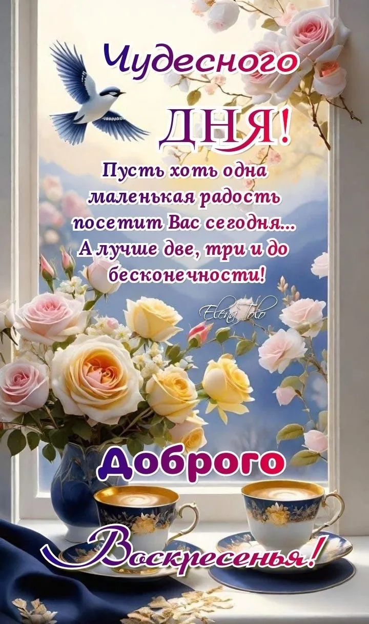 Весенний пейзаж с розами и чашками кофе: Доброго Воскресенья!