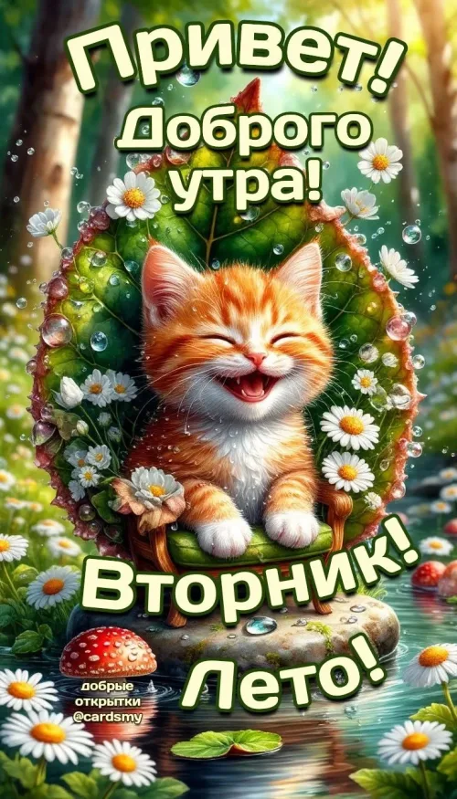 Доброе утро, Вторник! Летний кот и цветы