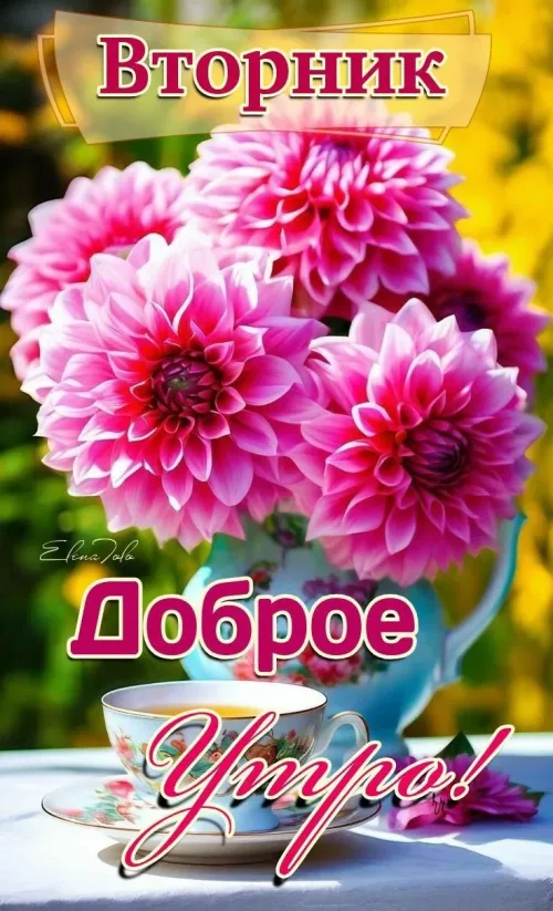 Весенний вторник с добрым утром и цветами