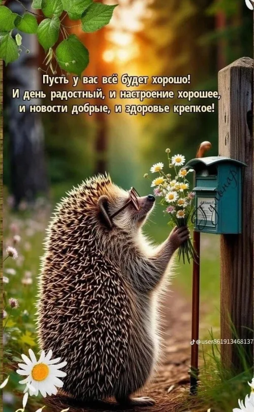 Поздравление с хорошим днем: ежик с цветами