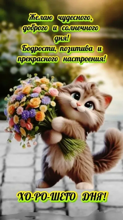 Позитивная открытка с добрым утром: кошка и цветы