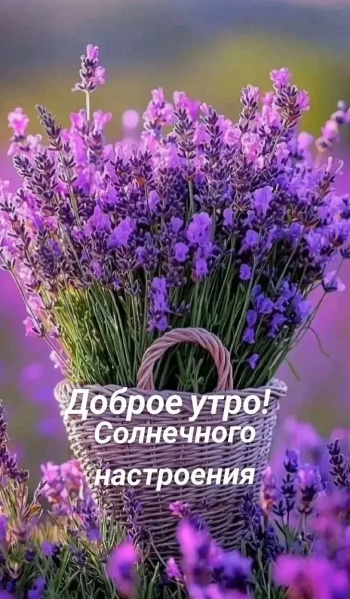 Позитивные открытки с добрым утром и цветами
