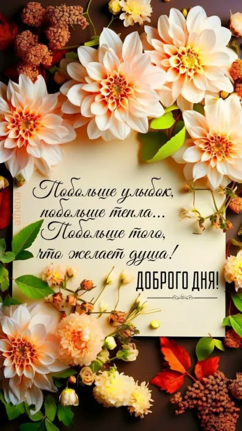 Доброе утро с осенними цветами и пожеланиями