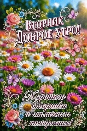 Весенний Добрый утром на вторник с цветами и бабочками