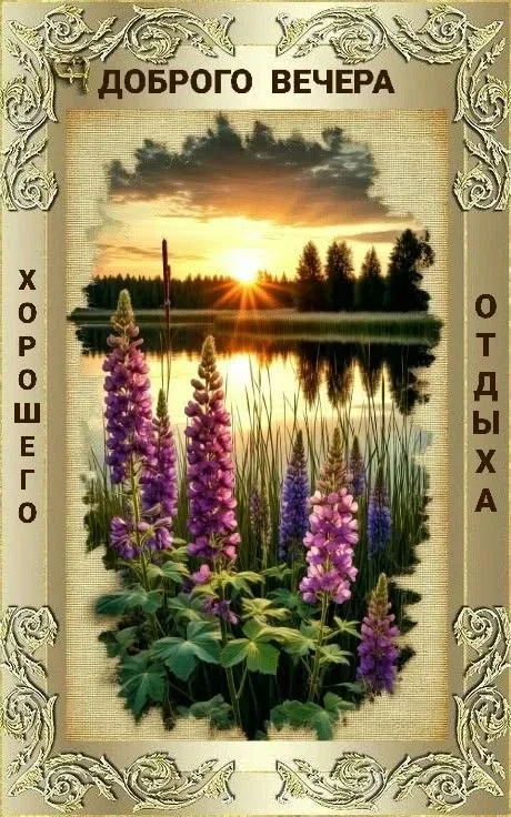 Доброго вечера: озеро и цветы