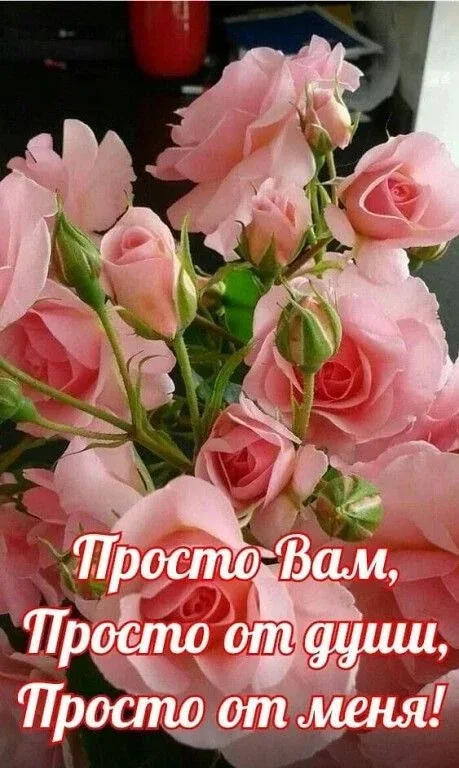 Позитивная открытка с добрым вечером и розами