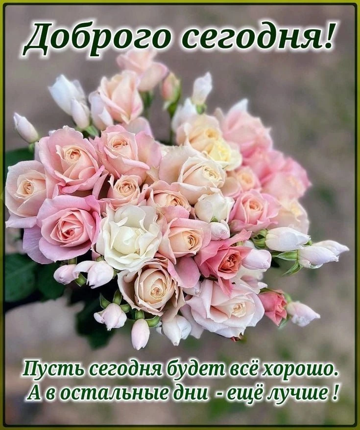 Весенние открытки с добрым утром и розами
