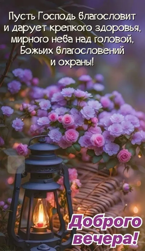 Цветы и фонарик: Добрый вечер открытка