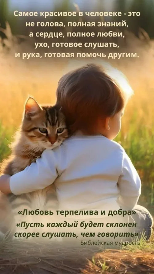Доброе утро с кошкой и библейской мудростью