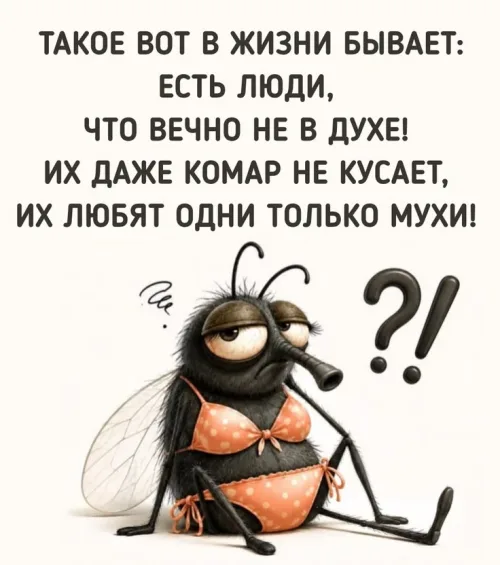 Прикольная открытка с добрым утром: муха в купальнике