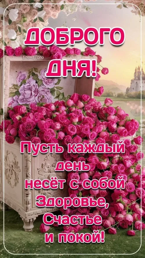 Красивые открытки с добрым утром и розами