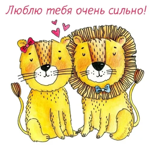 Люблю тебя очень сильно! Милые львы