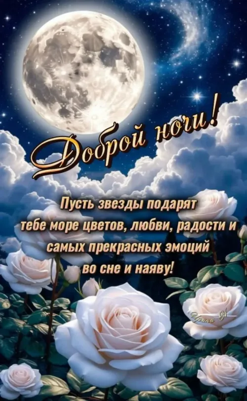 Спокойной ночи с белыми розами и луной